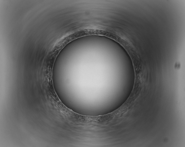 X0000115620870200911101413