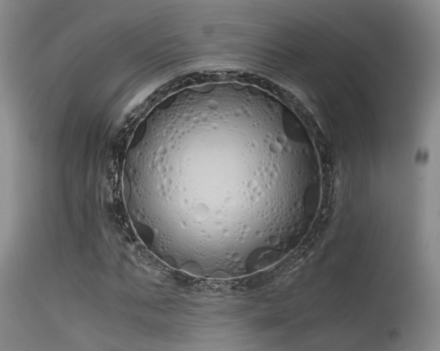 X0000115620871200911101413