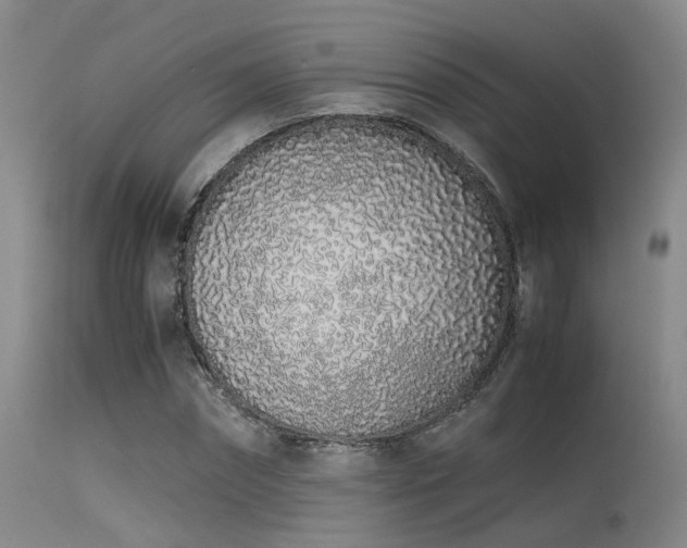 X0000115620874200911101413