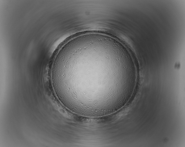 X0000115620875200911101413