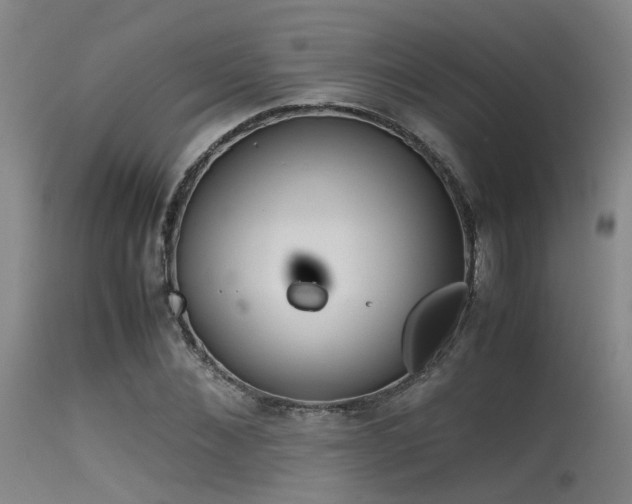 X0000115620876200911101413