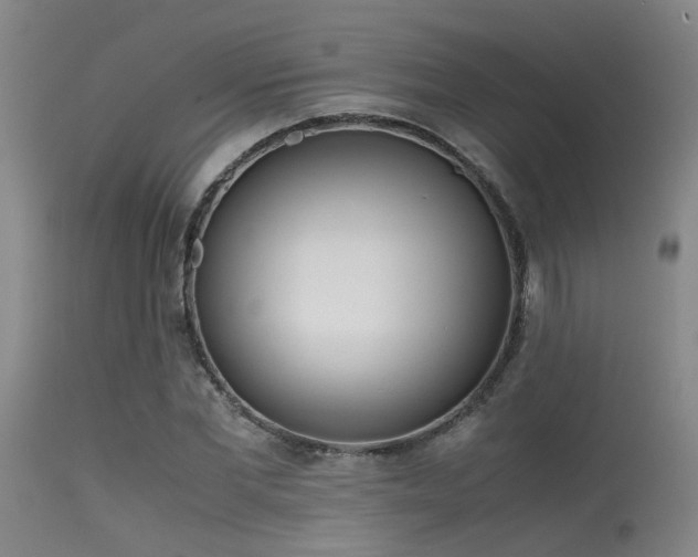 X0000115620877200911101413