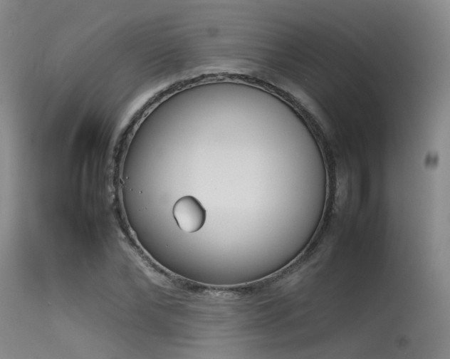 X0000115620878200911101413