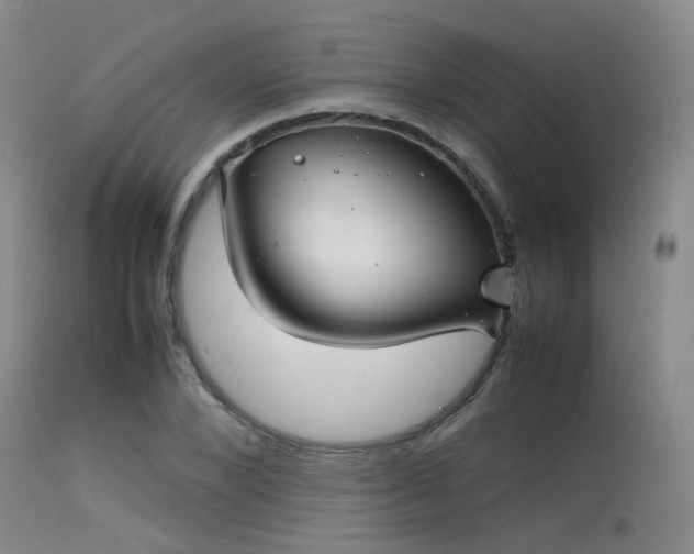 X0000115620880200911101413