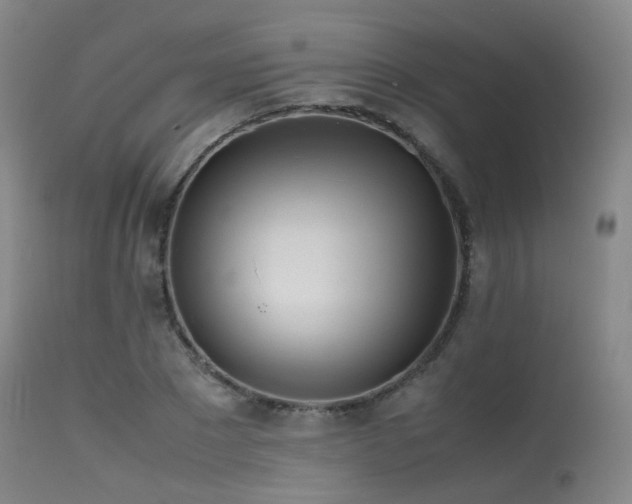 X0000115620881200911101413