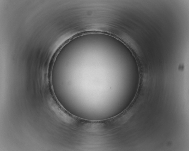 X0000115620884200911101413