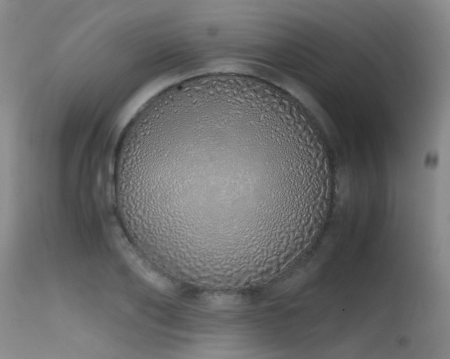 X0000115620886200911101413