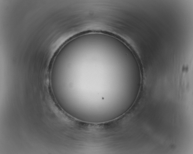 X0000115620887200911101413