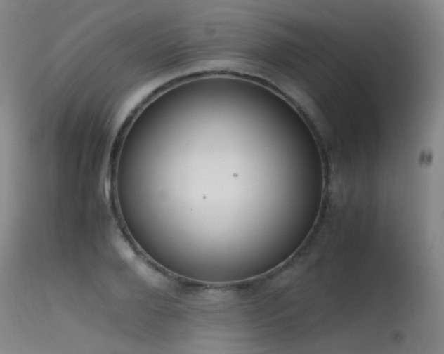 X0000115620888200911101413