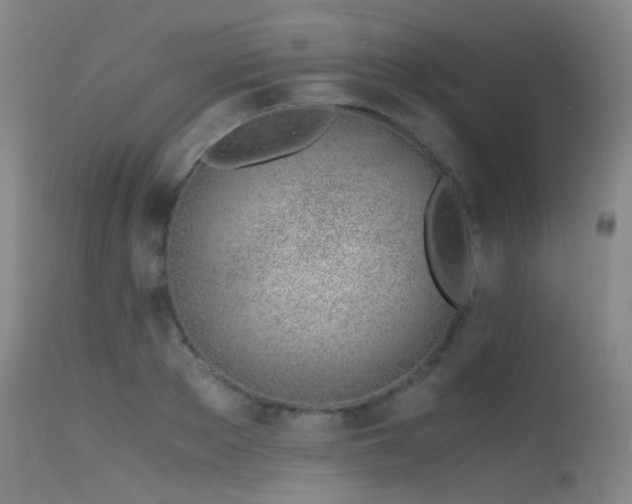 X0000115620889200911101413