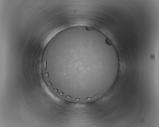 X0000115620890200911101413