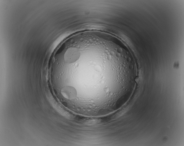 X0000115620891200911101413