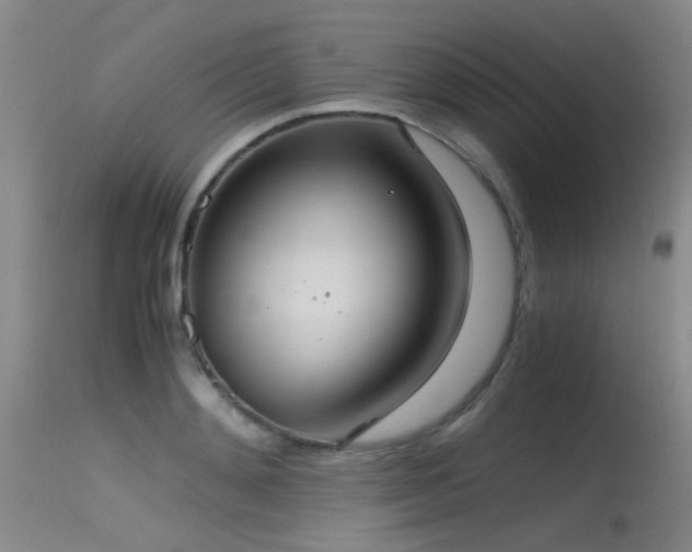 X0000115620892200911101413