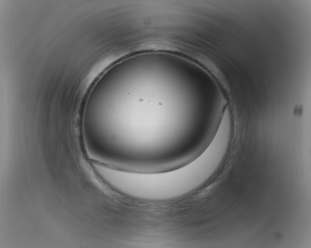 X0000115620893200911101413