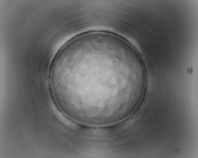 X0000115620895200911101413