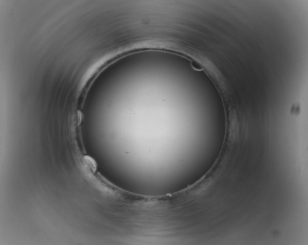 X0000115620896200911101413