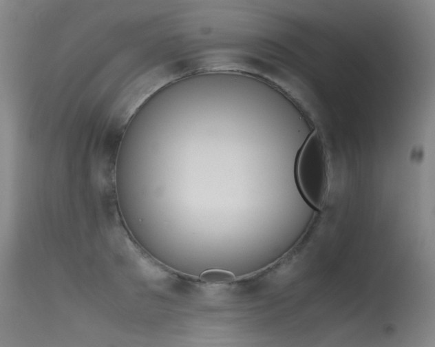 X0000115620897200911101413