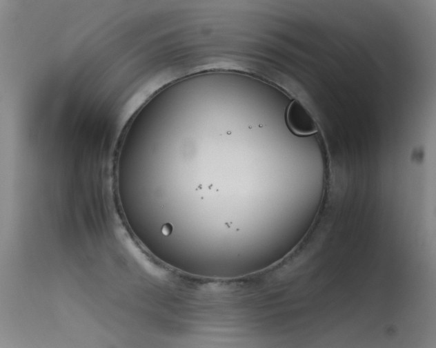 X0000115620898200911101413