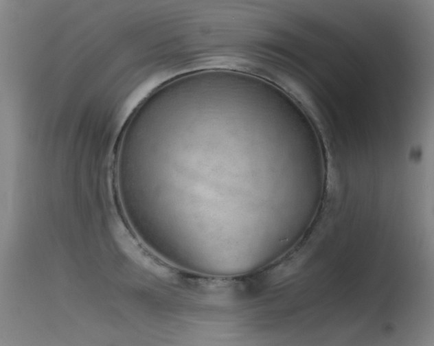 X0000115620899200911101413