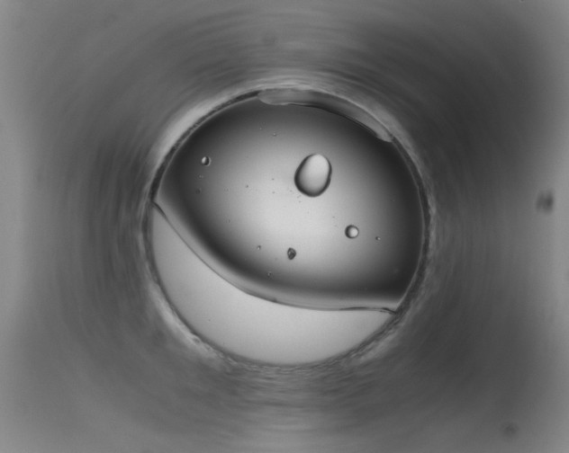 X0000115620901200911101413