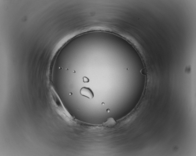 X0000115620902200911101412