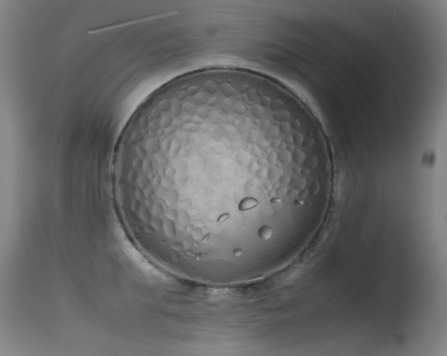 X0000115620903200911101412