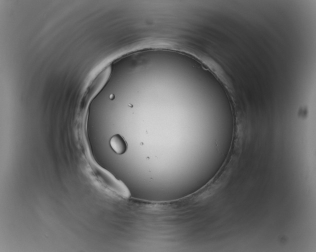 X0000115620904200911101412