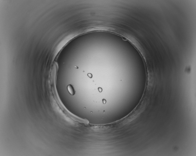 X0000115620906200911101412