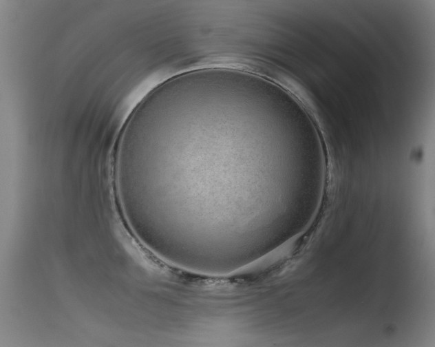 X0000115620907200911101412