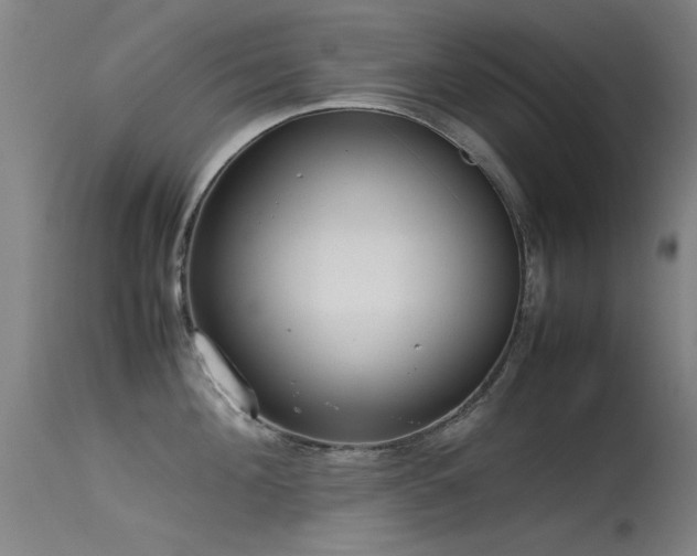 X0000115620908200911101412