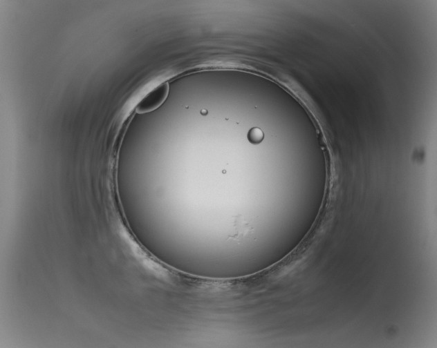 X0000115620909200911101412