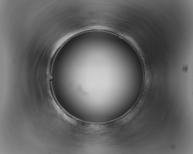 X0000115620910200911101412