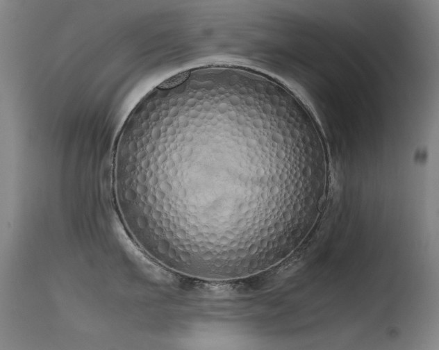 X0000115620911200911101412