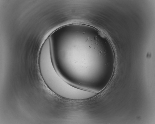 X0000115620912200911101412