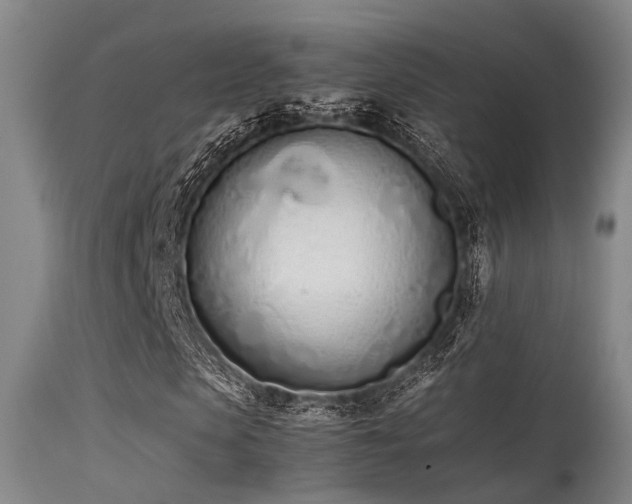 X0000115620913200911101412