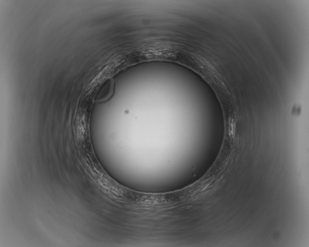 X0000115620915200911101412