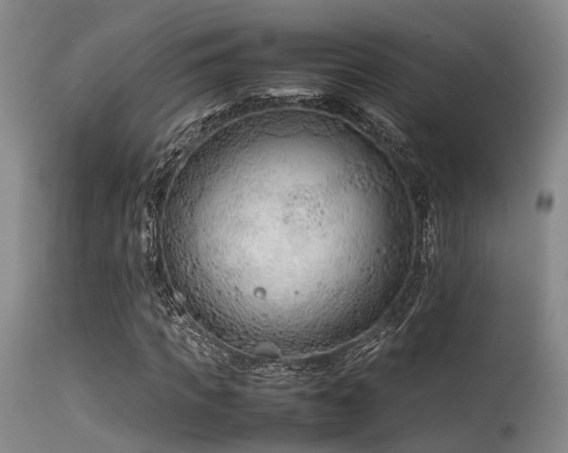 X0000115620917200911101412