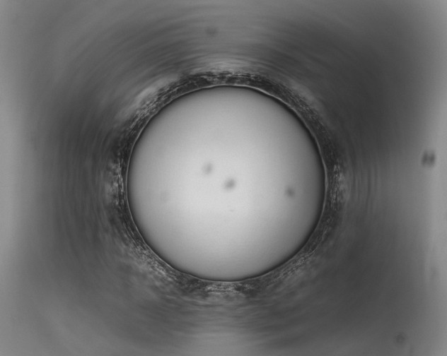 X0000115620918200911101412