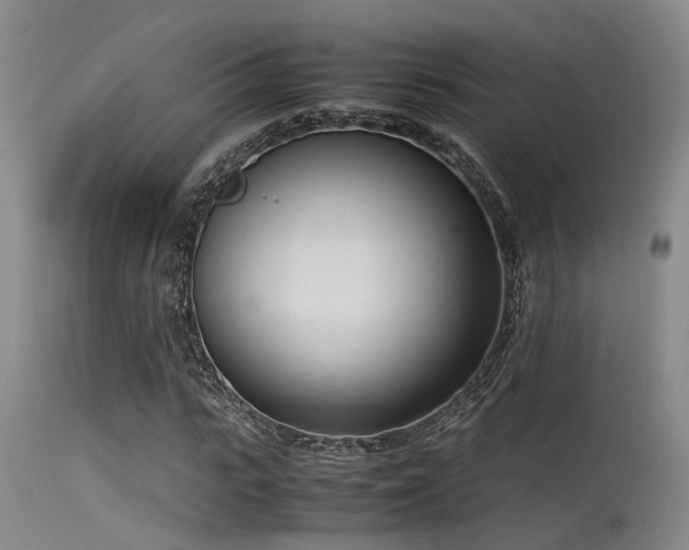 X0000115620919200911101412