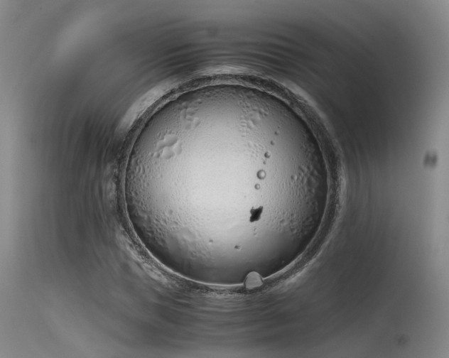 X0000115620921200911101412