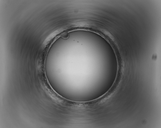 X0000115620922200911101412