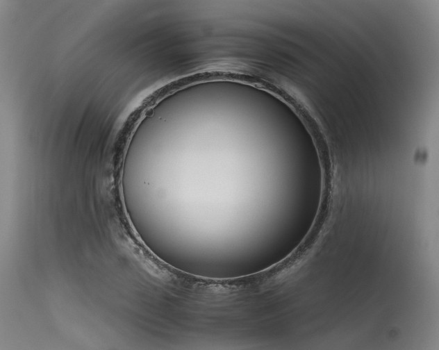 X0000115620923200911101412