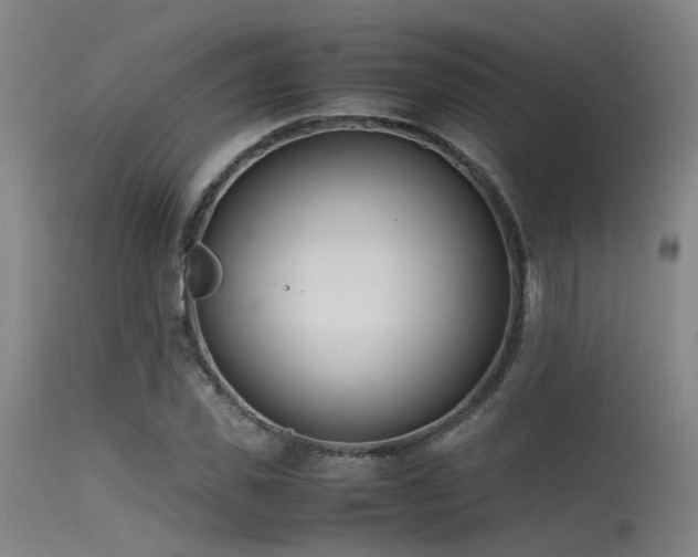 X0000115620925200911101412