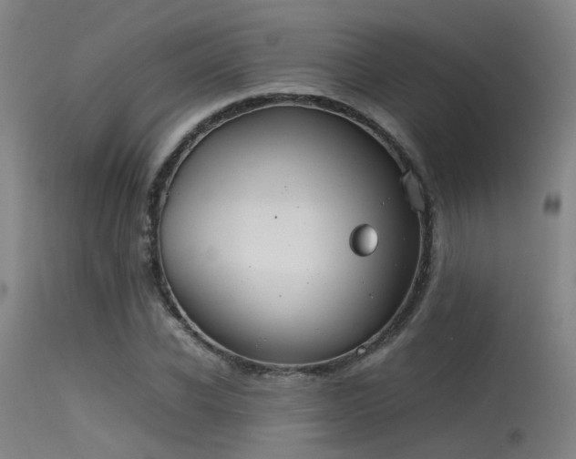 X0000115620926200911101412