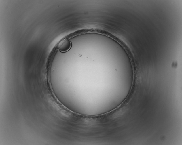 X0000115620927200911101412