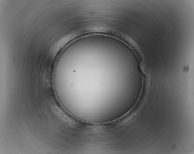 X0000115620930200911101412