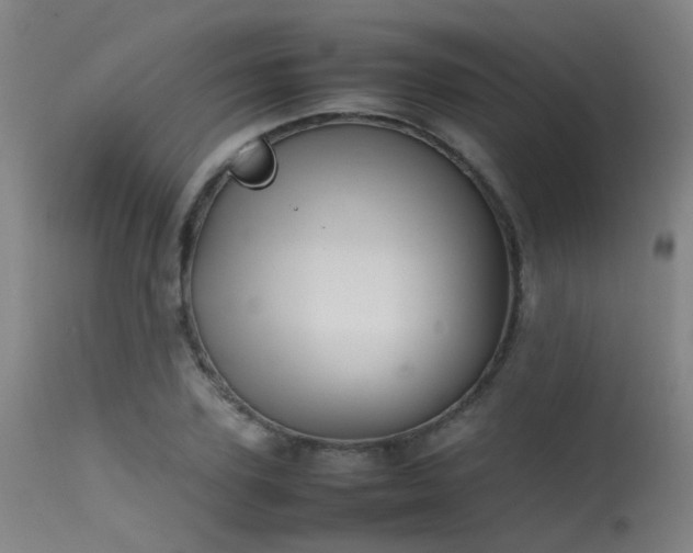 X0000115620931200911101412