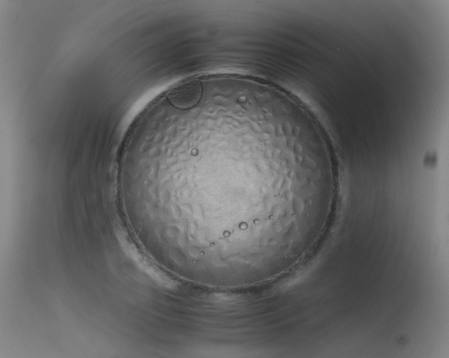 X0000115620933200911101412