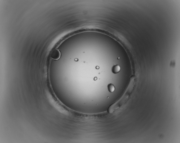 X0000115620934200911101412