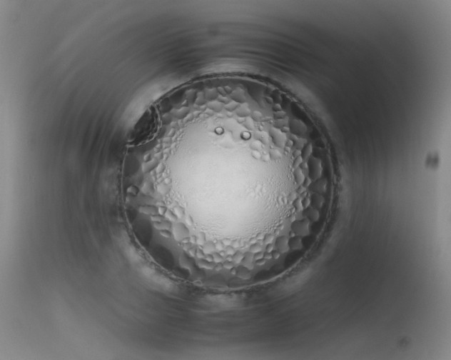 X0000115620937200911101412